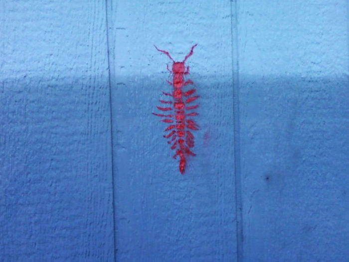Little buddy (centipeded) painted in the alley