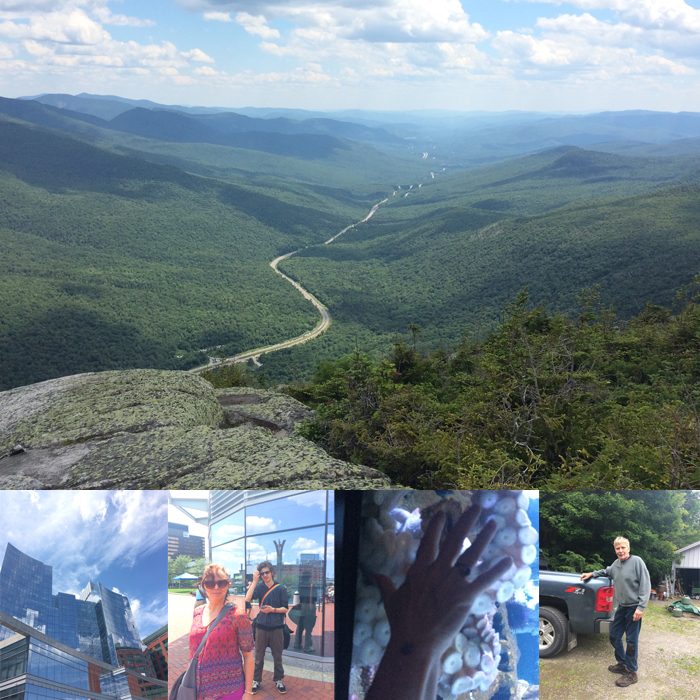 collage images of Franconia Notch, Vermont, Boston Aquarium