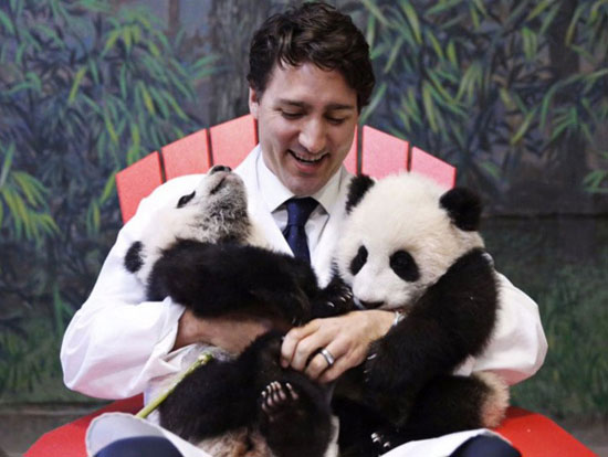 photograph of beautiful Canadian Prime Minister Justin Trudeau with baby pandas | Tacky Harper's Cryptic Clues