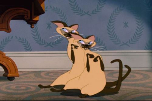 the pair of Siamese Cats from Disney's Lady and the Tramp | Tacky Harper's Cryptic Clues