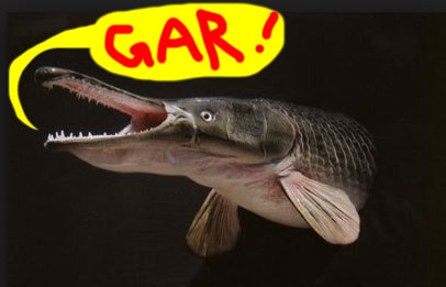 photo of a gar fish | Tacky Harper's Cryptic Clues